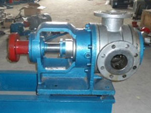 NYP內(nèi)環(huán)式不銹鋼高粘度泵